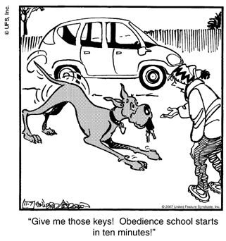 marmaduke